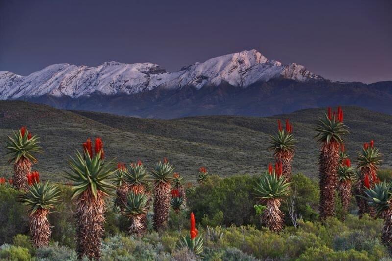 7 Bedroom Property for Sale in De Rust Western Cape